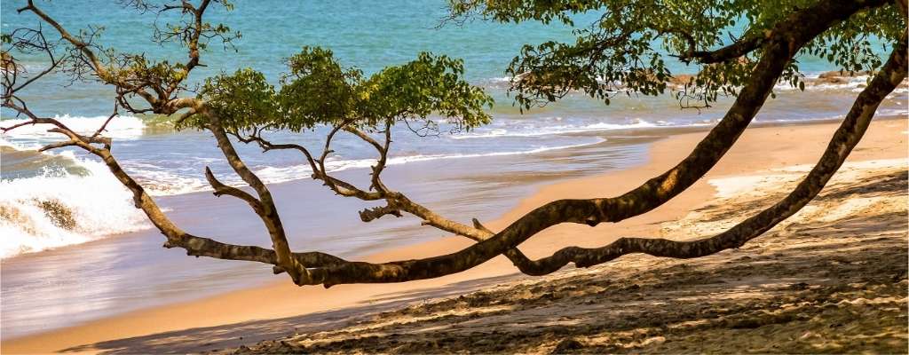 MANUEL ANTONIO