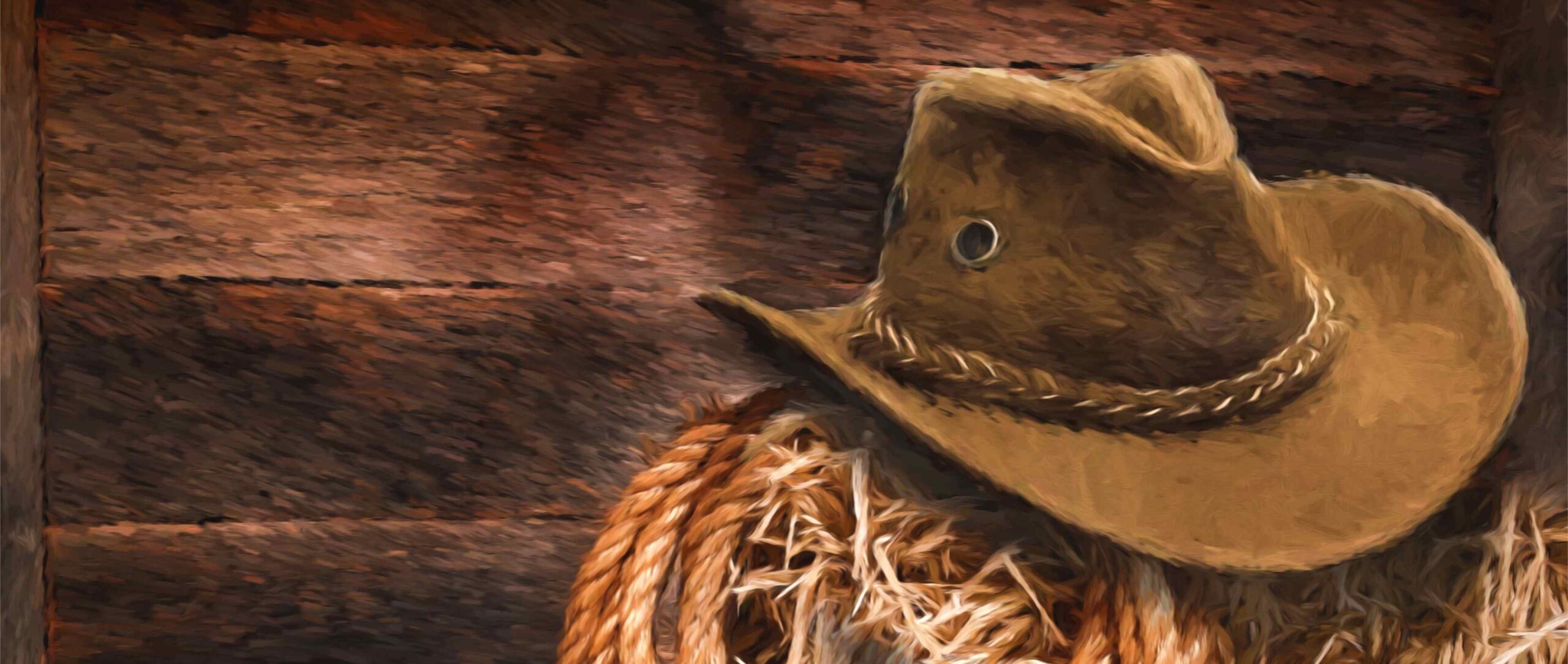 VAQUERO- 2